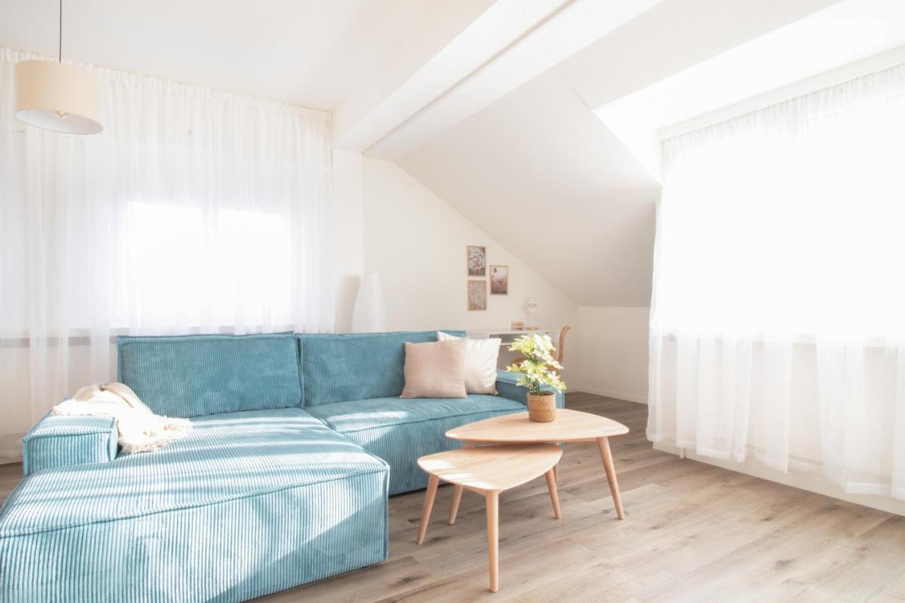 Loewe Apartment Blau Neuhausen Am Rheinfall Dış mekan fotoğraf